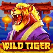 Naija Gaming Casino